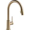 imageDelta 9159ARDST Standard Pull Arctic StainlessChampagne Bronze