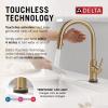 imageDelta 9159ARDST Standard Pull Arctic StainlessChampagne Bronze
