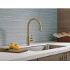 imageDelta 9159ARDST Standard Pull Arctic StainlessChampagne Bronze
