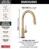 imageDelta 9159ARDST Standard Pull Arctic StainlessChampagne Bronze