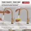 imageDelta 9159ARDST Standard Pull Arctic StainlessChampagne Bronze