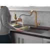 imageDelta Junction Brushed Nickel Kitchen Faucet with Pull Down Sprayer Modern Single Hole Kitchen Sink Faucet Single Handle Spotshield Stainless 19825LFSPChampagne Bronze