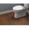 imageDelta Faucet Morgan Elongated SlowClose White Toilet Seat with NonSlip Seat Bumpers White 811903WHTransitional