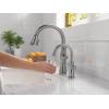 imageDELTA FAUCET 1960CZDST Traditional Beverage Faucet Champagne BronzeArctic Stainless