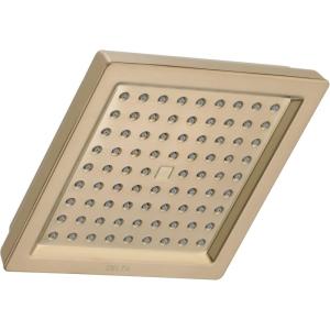imageDELTA RP62283SS Universal Showering Components Showerhead StainlessChampagne Bronze