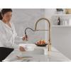 imageDelta Ermelo Pro Style Commercial Kitchen Faucet with Pull Down Sprayer Brushed Nickel Single Hole Kitchen Sink Faucet Single Handle Stainless 18887SSDSTChampagne Bronze