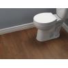 imageDelta Faucet Morgan Round Front SlowClose White Toilet Seat with NonSlip Seat Bumpers White 801903WH
