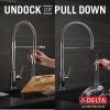imageDelta Faucet Trinsic Pro SingleHandle Spring Spout Touch Kitchen Sink Faucet with Pull Down Sprayer Touch2O Technology and Magnetic Docking Spray Head Chrome 9659TDSTChrome