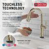 imageDelta Renaldi Kitchen Faucet with Pull Down Sprayer Brushed Nickel Kitchen Sink Faucet Delta ProClean Lumicoat Champagne Bronze 9184TLCZPRDSTLumicoat Polished Nickel