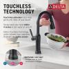 imageDelta Renaldi Kitchen Faucet with Pull Down Sprayer Brushed Nickel Kitchen Sink Faucet Delta ProClean Lumicoat Champagne Bronze 9184TLCZPRDSTMatte Black