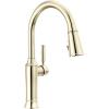 imageDelta Renaldi Kitchen Faucet with Pull Down Sprayer Brushed Nickel Kitchen Sink Faucet Delta ProClean Lumicoat Champagne Bronze 9184TLCZPRDSTLumicoat Polished Nickel