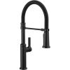 imageDelta Rhett Pro Style Commercial Kitchen Faucet with Pull Down Sprayer Brushed Nickel Single Hole Kitchen Sink Faucet Single Handle Stainless 18829SSDSTMatte Black