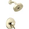 Polished Nickel
