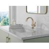 imageDelta Albion Matte BlackBrushed Gold Bathroom Faucet 1 Hole Single Hole Bathroom Sink Faucet for Vanity Metal PushPop Drain Assembly Matte BlackChampagne Bronze 15855LFGZChampagne Bronze