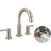 Stainless