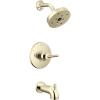 Polished Nickel